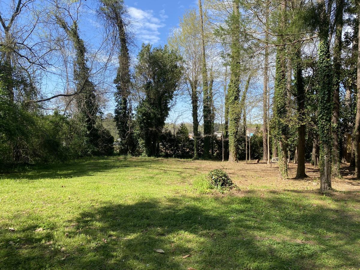 Thorncroft 1