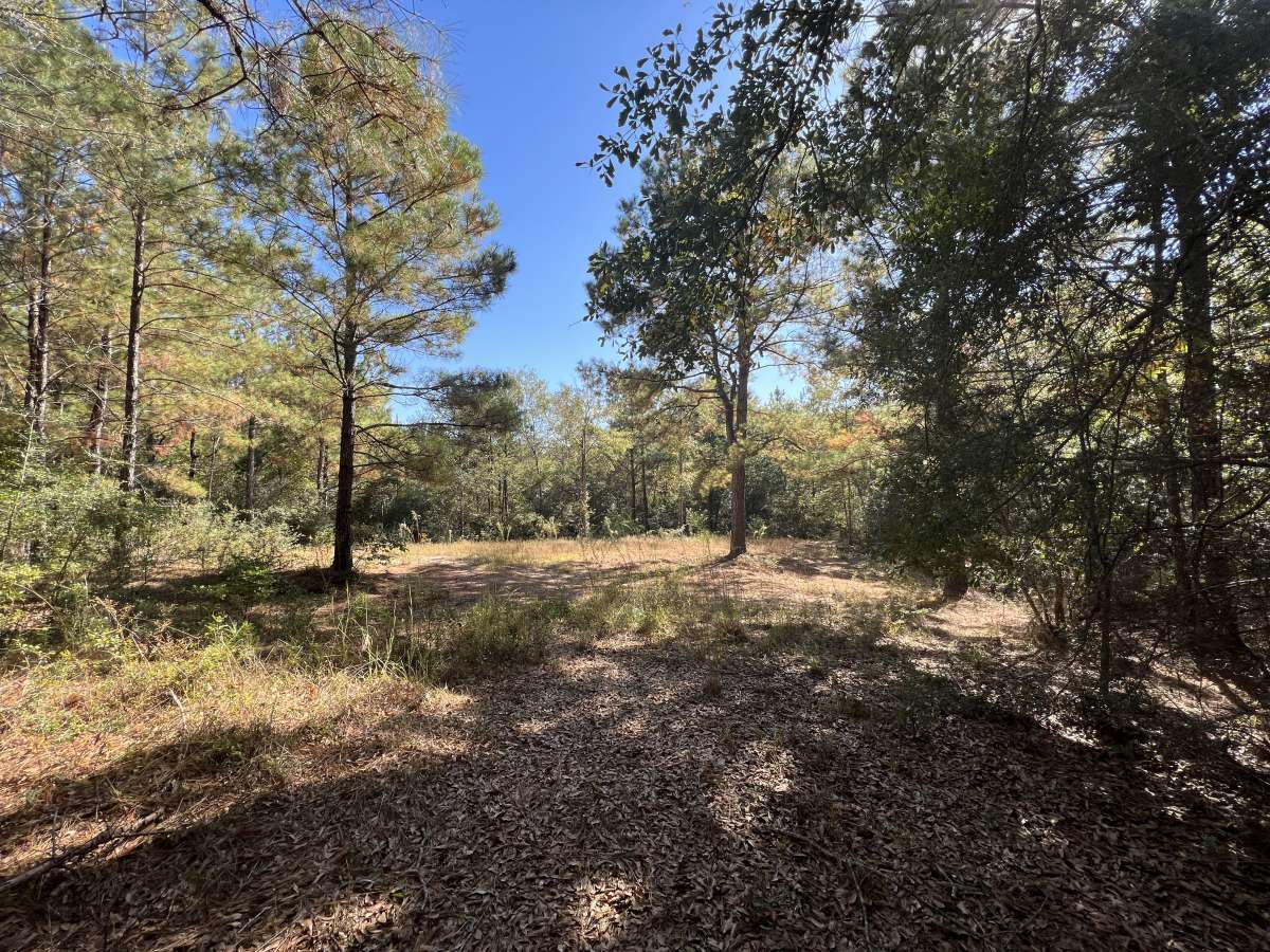 Secluded Acreage