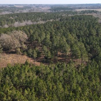 80 acres - Barbour County - Shipman Road Tract