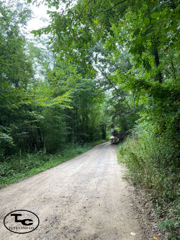 15 +/ Acres Lawrence County, AL North AL Hunting & Timber