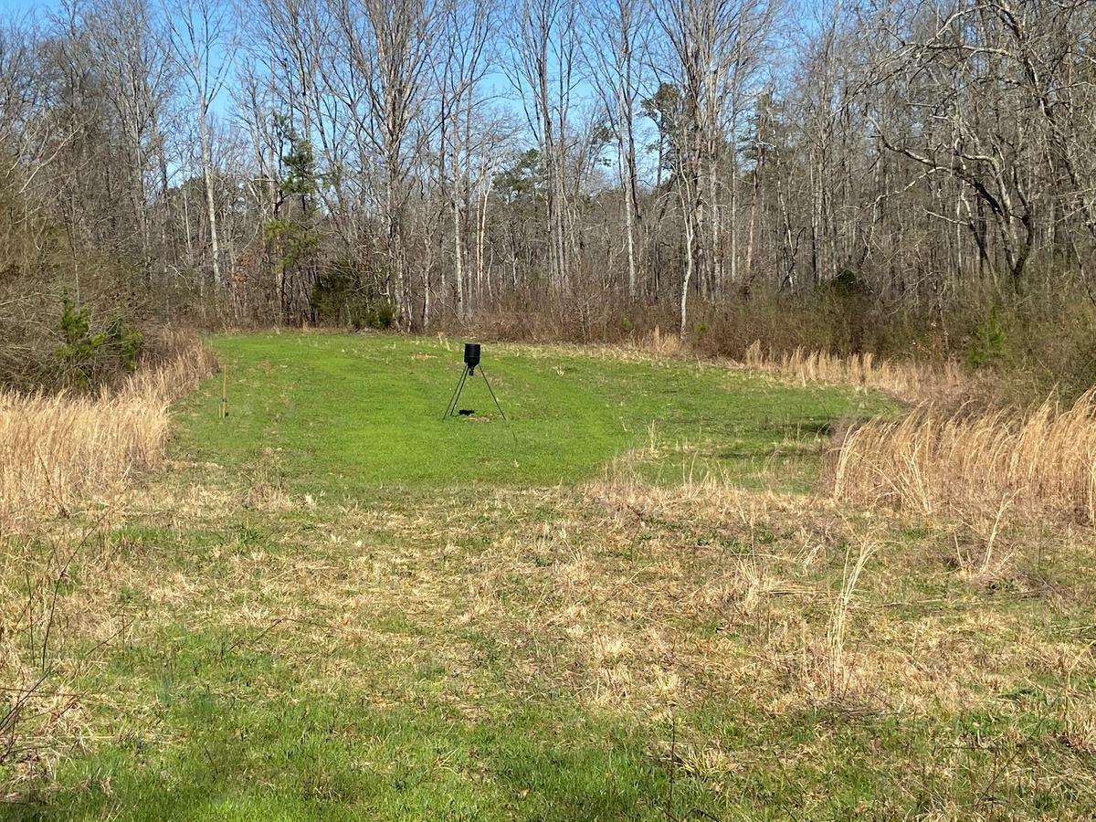 Duck Springs 50 ac- Etowah County.png