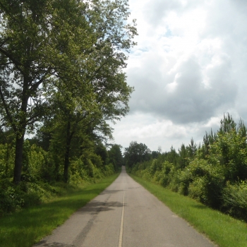 80 Acre Lauderdale-Lizelia Road Property