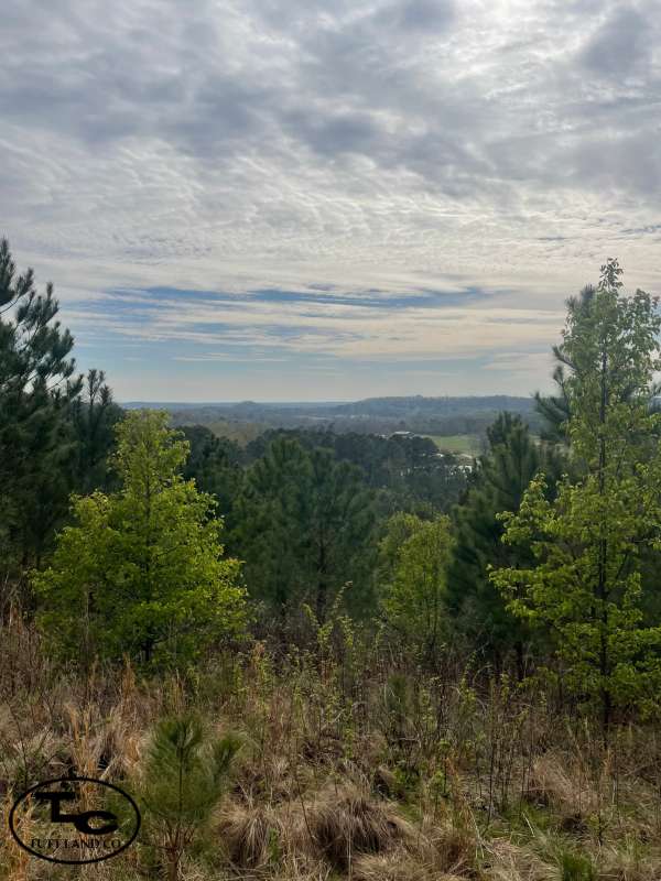 Shumate Mountain-3.jpg