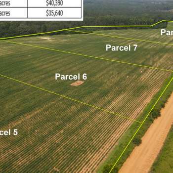 Ammons Pond Parcel 7 - 6.3+/- acres - Dale County