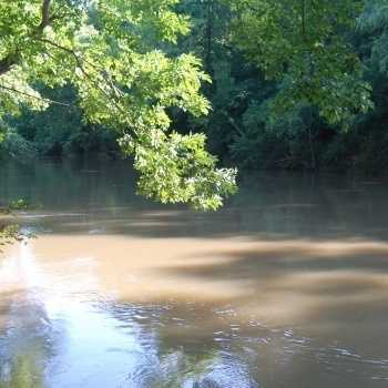 170 ac. - Jefferson Co. - Sunview Road Tract PRICE REDUCED