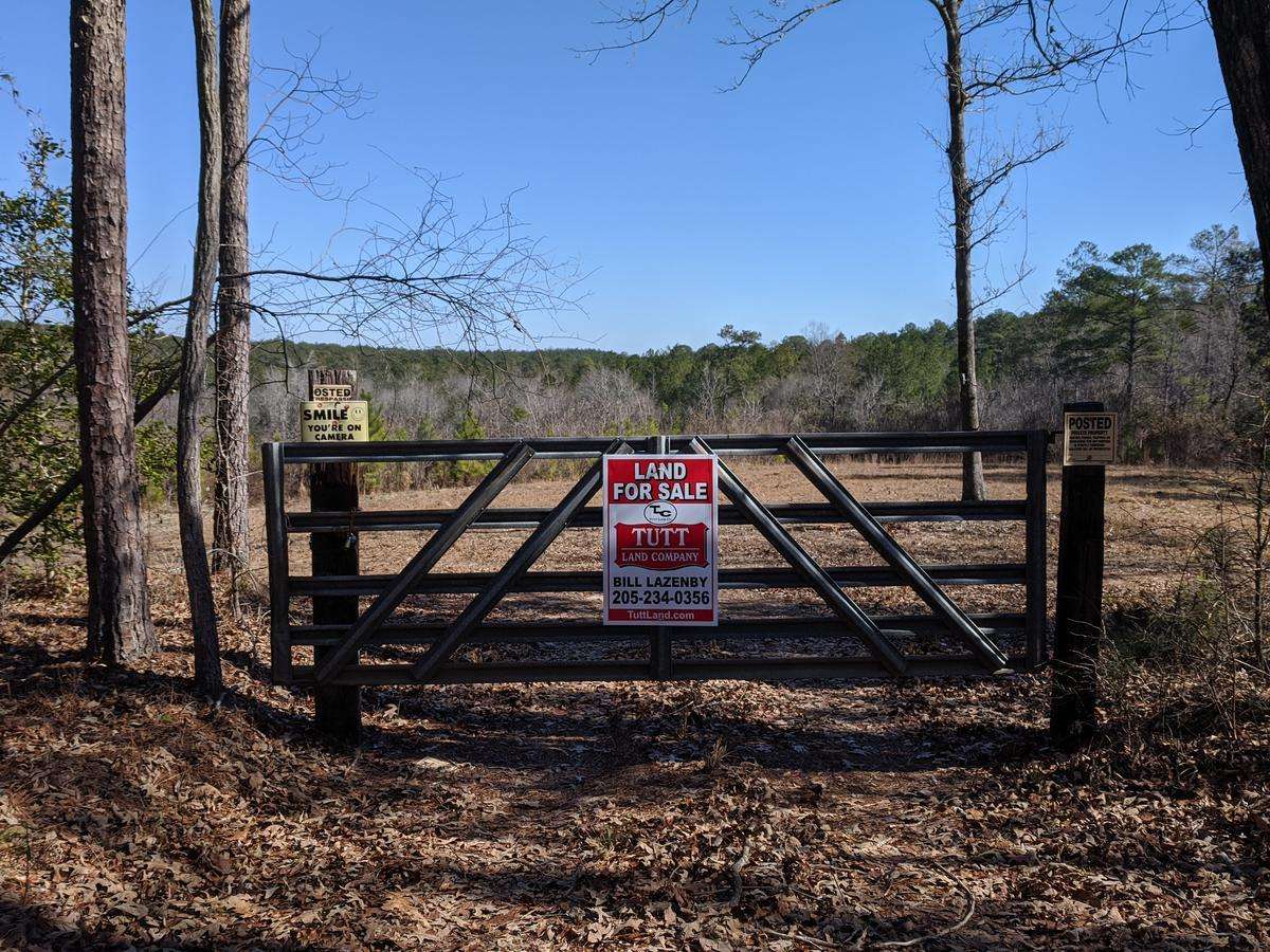 40 Acres - Bibb County - Oakmulgee Tract