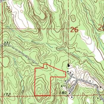 SIlas Tract #14- 26 ac-Choctaw Co. AL
