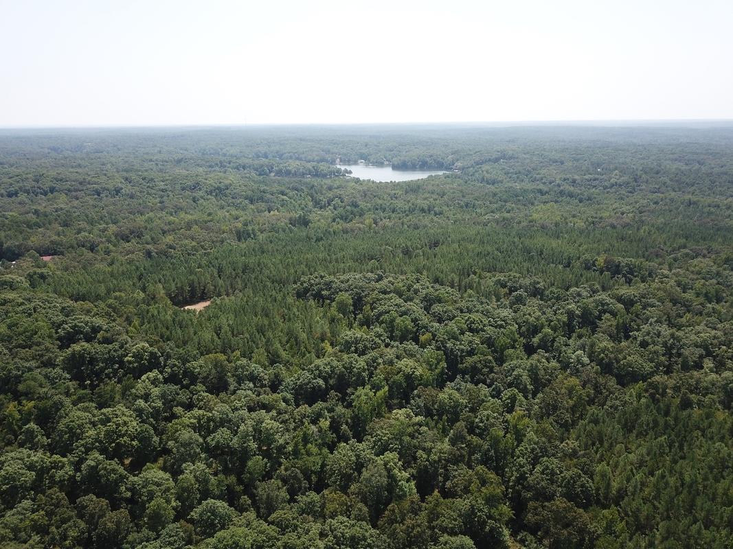 Hardeman County Land for Sale - Map of Property With Boundaries Outlined