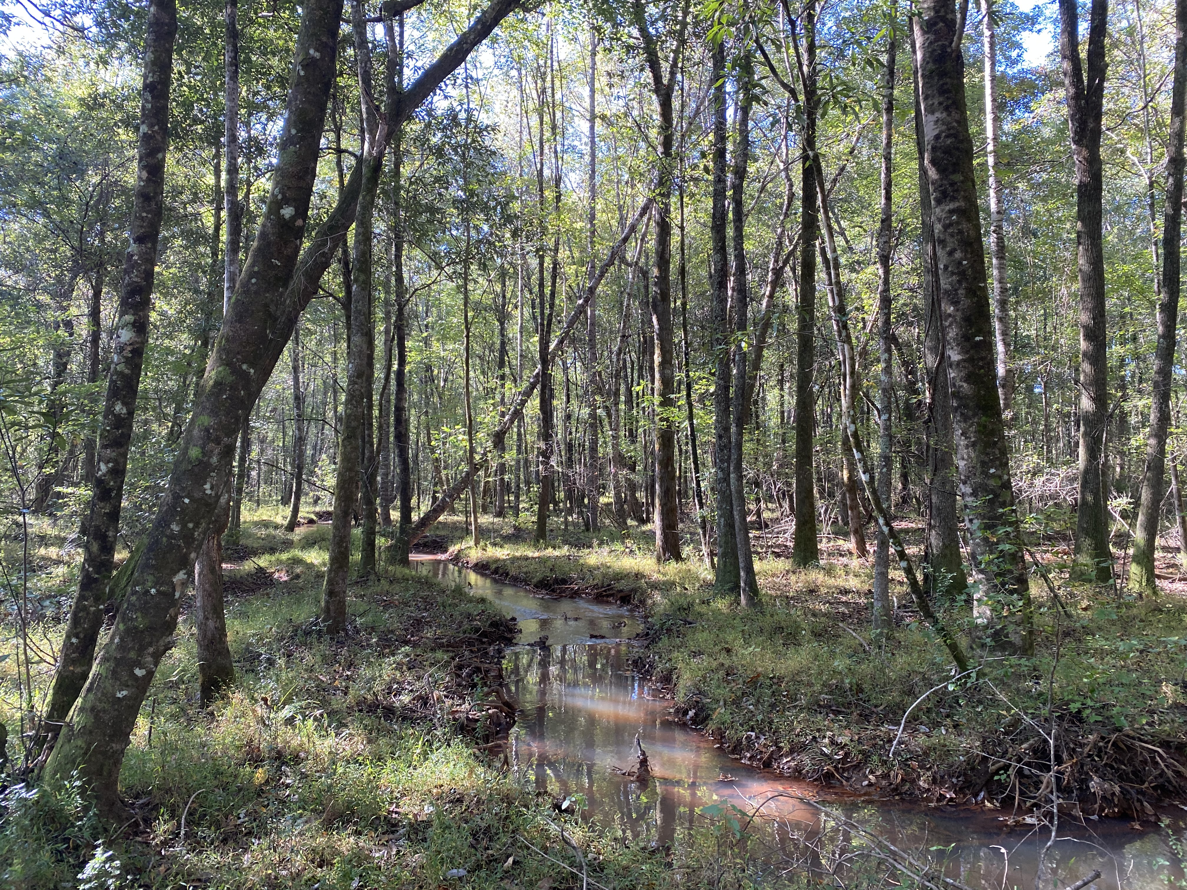 Lanier 415 ac topo.jpg