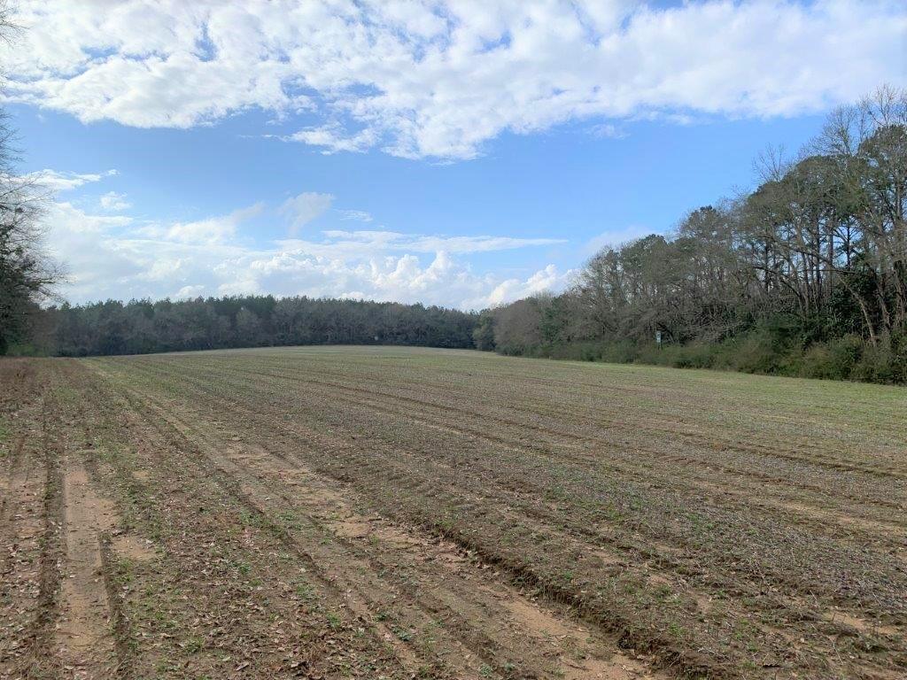 Covington County Property for Sale - Property Marked on Map