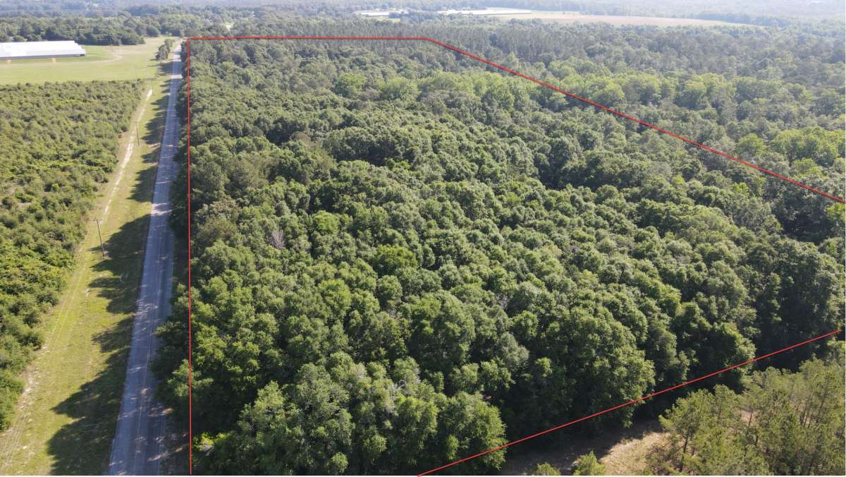 9 acres Dale County Snow Hill Farm Parcel 1