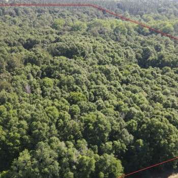 9 acres - Dale County - Snow Hill Farm Parcel 1