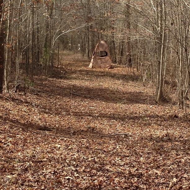 Big-creek-1.jpg