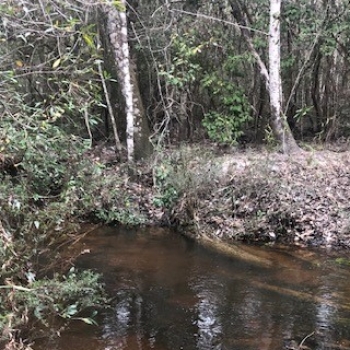 160 Ac - Greene County, MS - Spiers Tract
