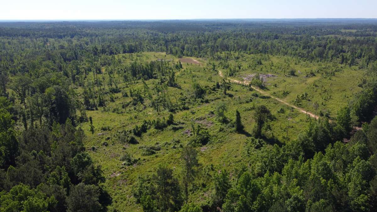 DJI_0683.JPG
