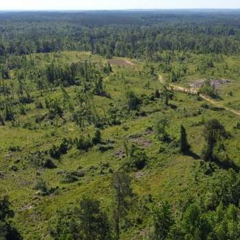 Sold -185 Ac - Sumter County - Dial Property