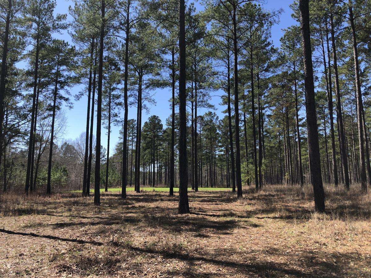 Russell County Land for Sale - Lot Outlined on Map