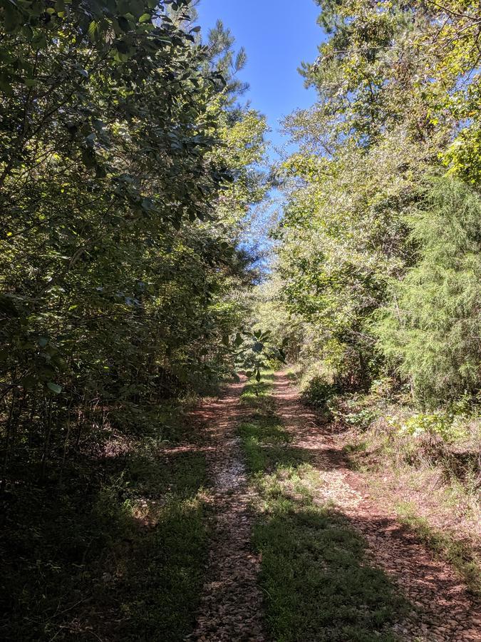 IMG_20190829_120400.jpg