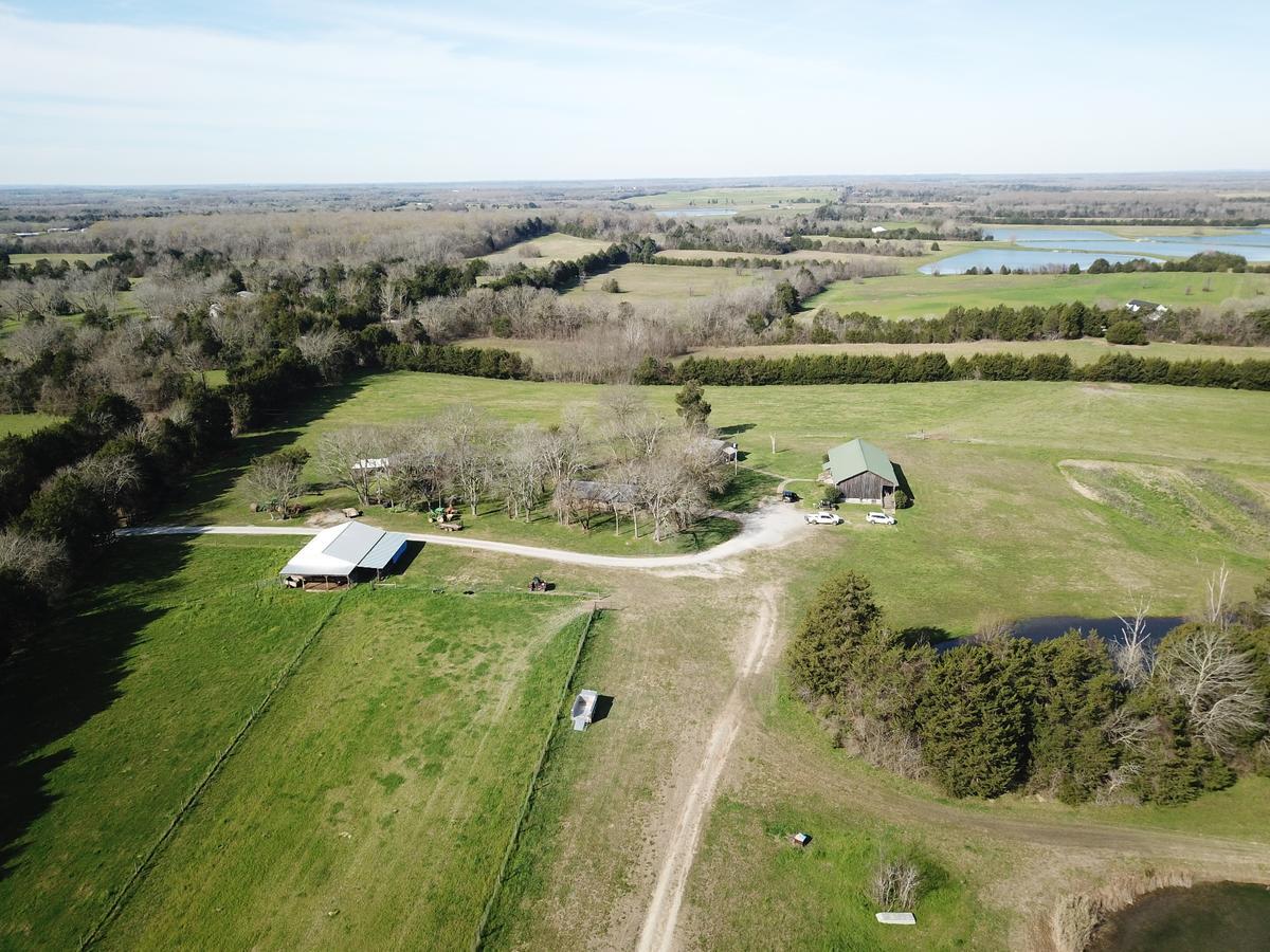 DJI_0053-1.jpg