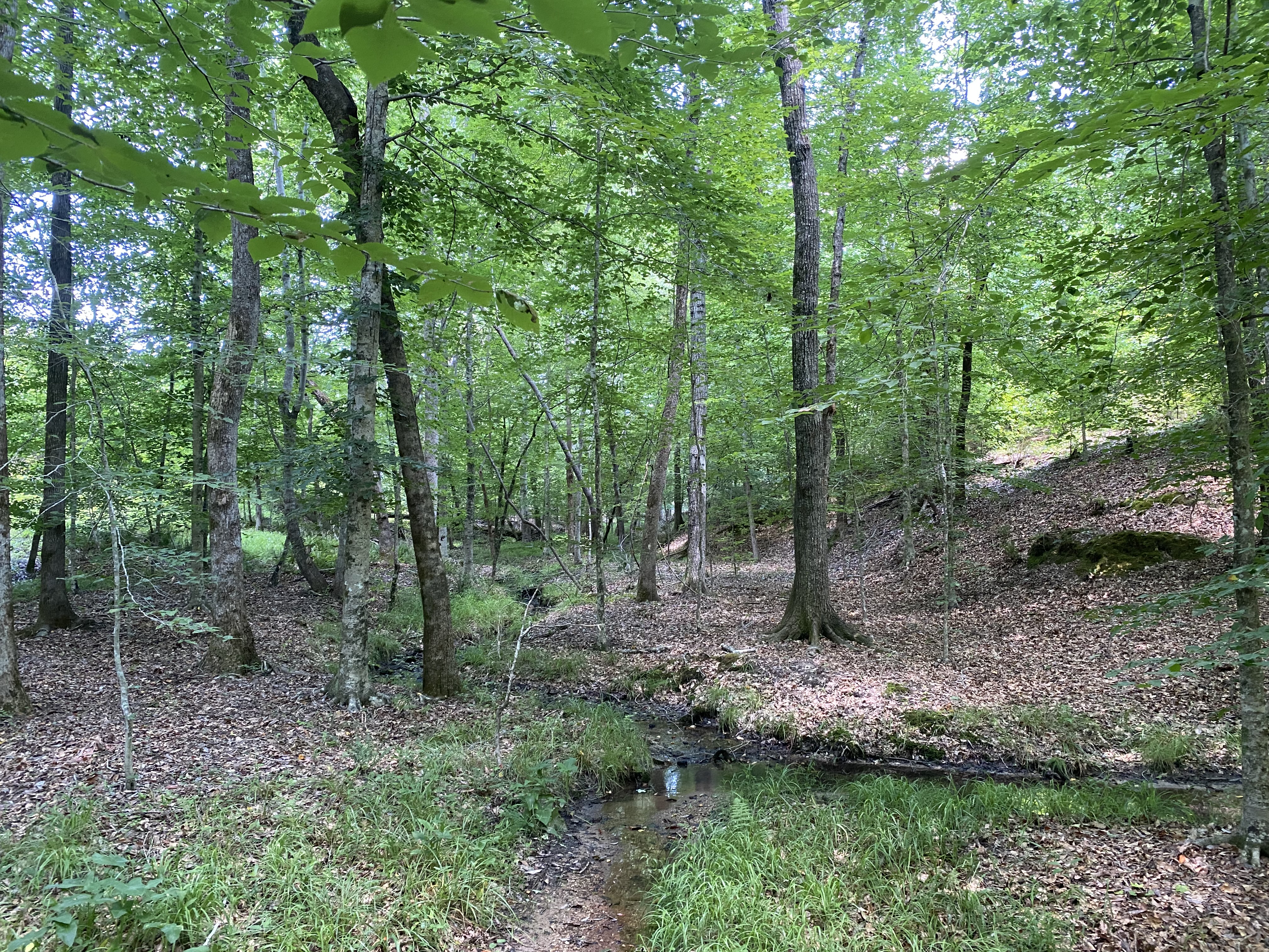 IMG_8204.JPG