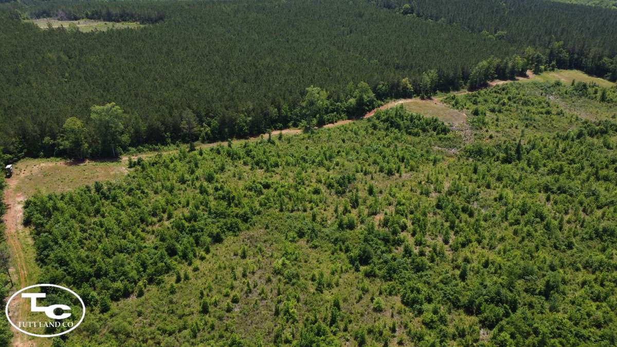 87 +/ Acres Kemper County, MS Little Ross Branch Timber Tract