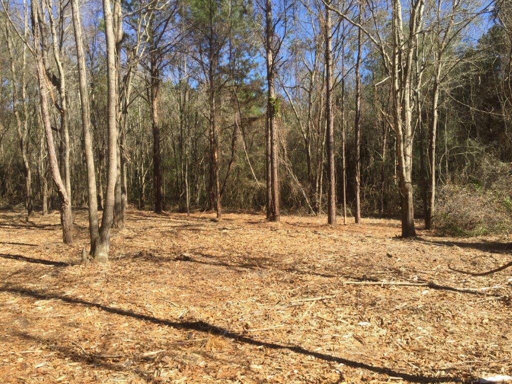 Coffee County Property for Sale - Parcels Shown on Map Outside Enterprise