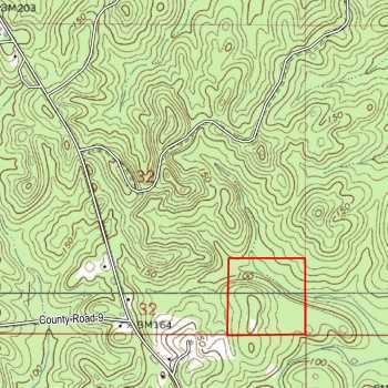 Womack Hill #12- 40 ac- Choctaw Co. AL