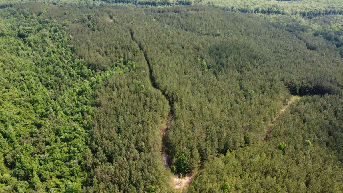 DJI_0603.JPG