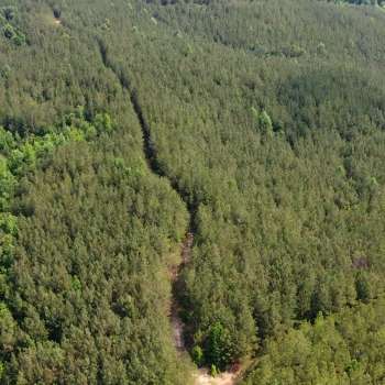 SOLD - 120 Ac - Perry County - Rumley Tract
