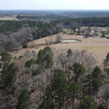 50 acres- Barbour County - Beasley Tract