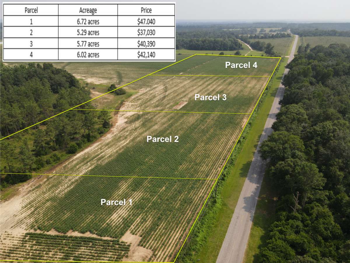 Ammons Pond Georef.jpg