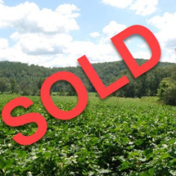 SOLD-90+/- ac. – Marion Co. – Buttahatchee River Tract-SOLD