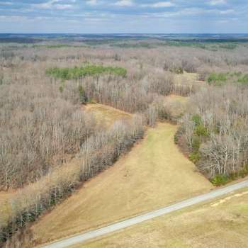 41.57 acres - Carroll Co - Ephesus East