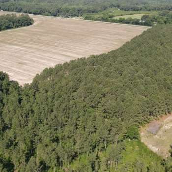 90 acres - Dale County - Snow Hill Farm Parcel 2