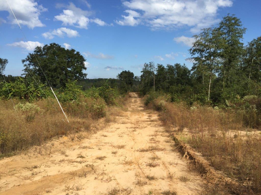 Coffee County Land for Sale - Satellite Map of Keller Tract