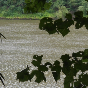 1,080 Ac - Clarke County - River Hill Tract