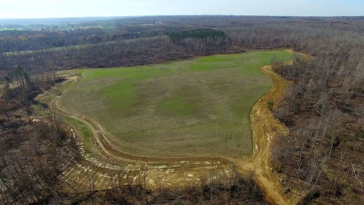 DJI_0052.00_03_48_21.Still001.jpg