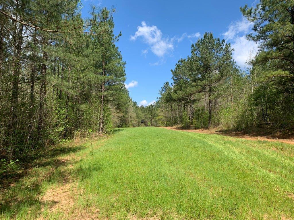 Henry County Property for Sale - Property Marked on Map