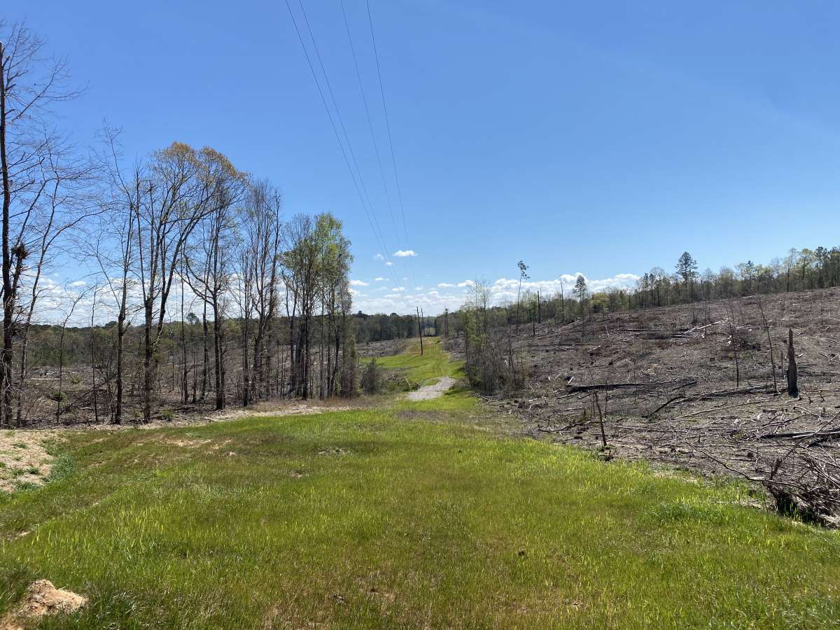 White Rd Tract 225 ac subdivision.jpg