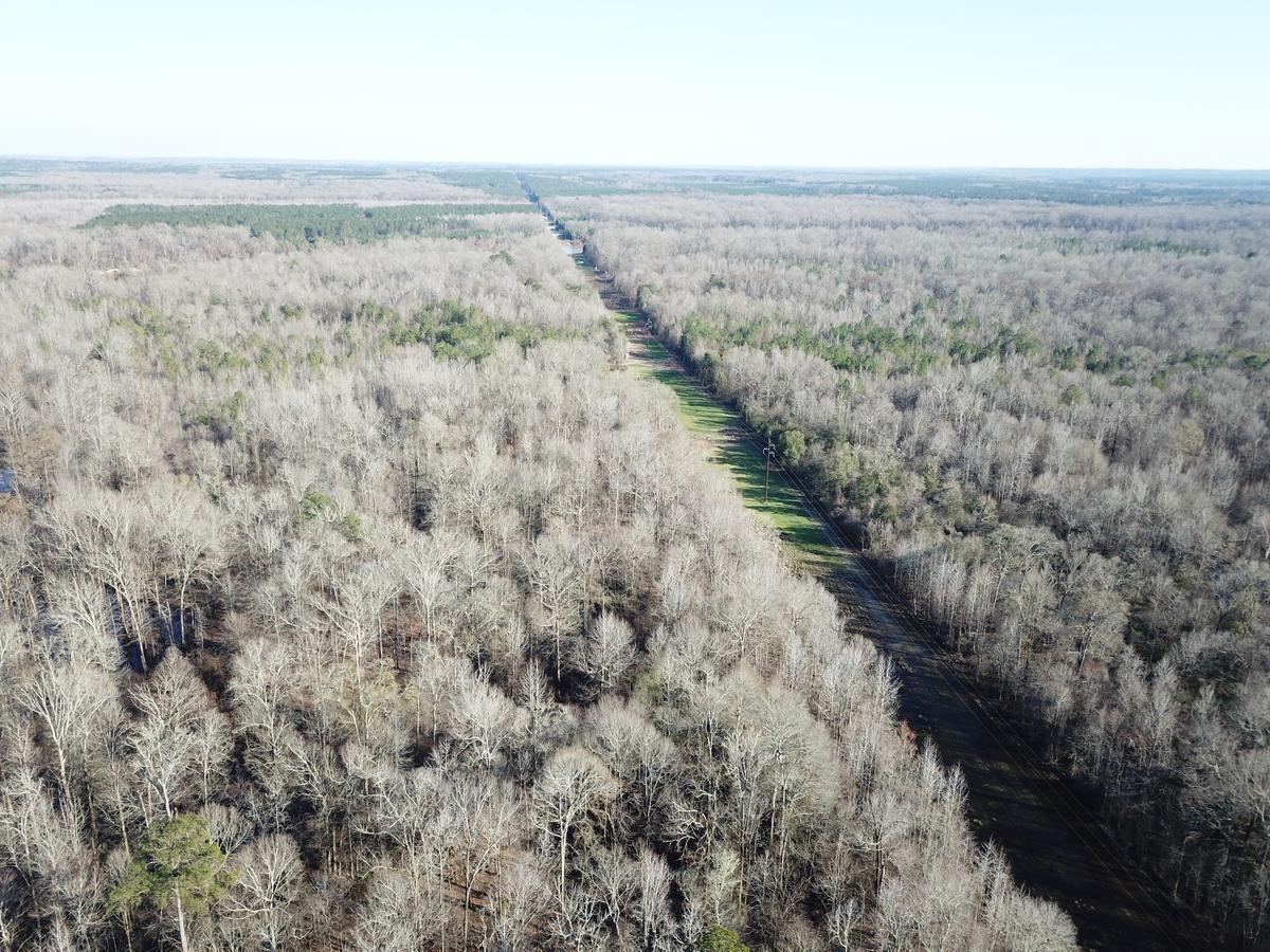 Sumter County Land for Sale - Listing of Property