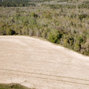 County Road 215 Homesite - 14 Ac - Coffee Co