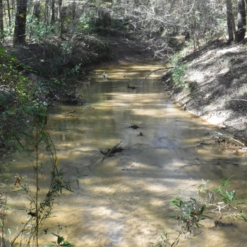 Bouge Chitto Tract-1061ac-Choctaw Co., AL
