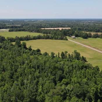 76 acres +/- - Houston County - Fish Pynes Tract