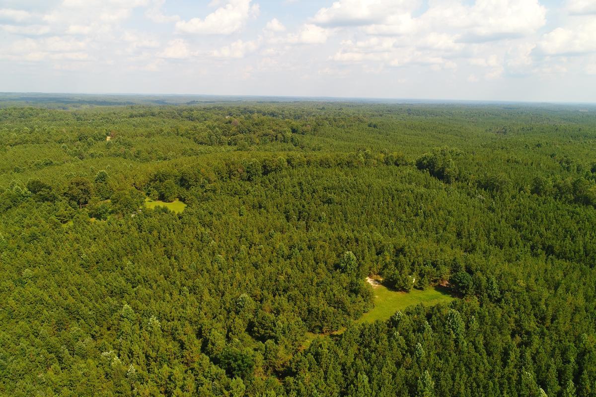 Aerial Photo.jpg