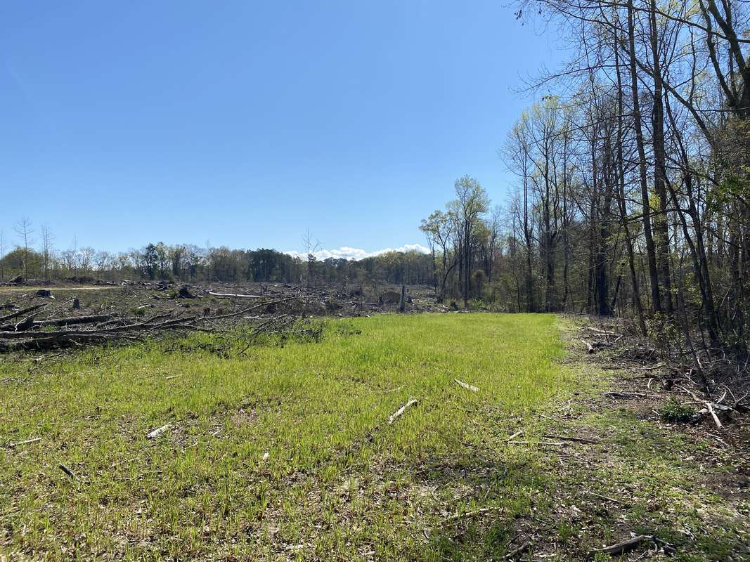 White Rd Tract 225 ac subdivision.jpg