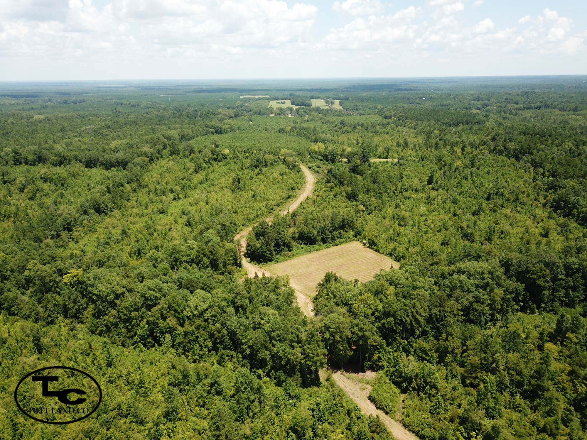 Maples-345ac-Marengo Co-Hwy 43 Farm topo.jpg