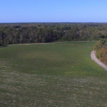 97 Ac - Houston County - Coot Adams Tract