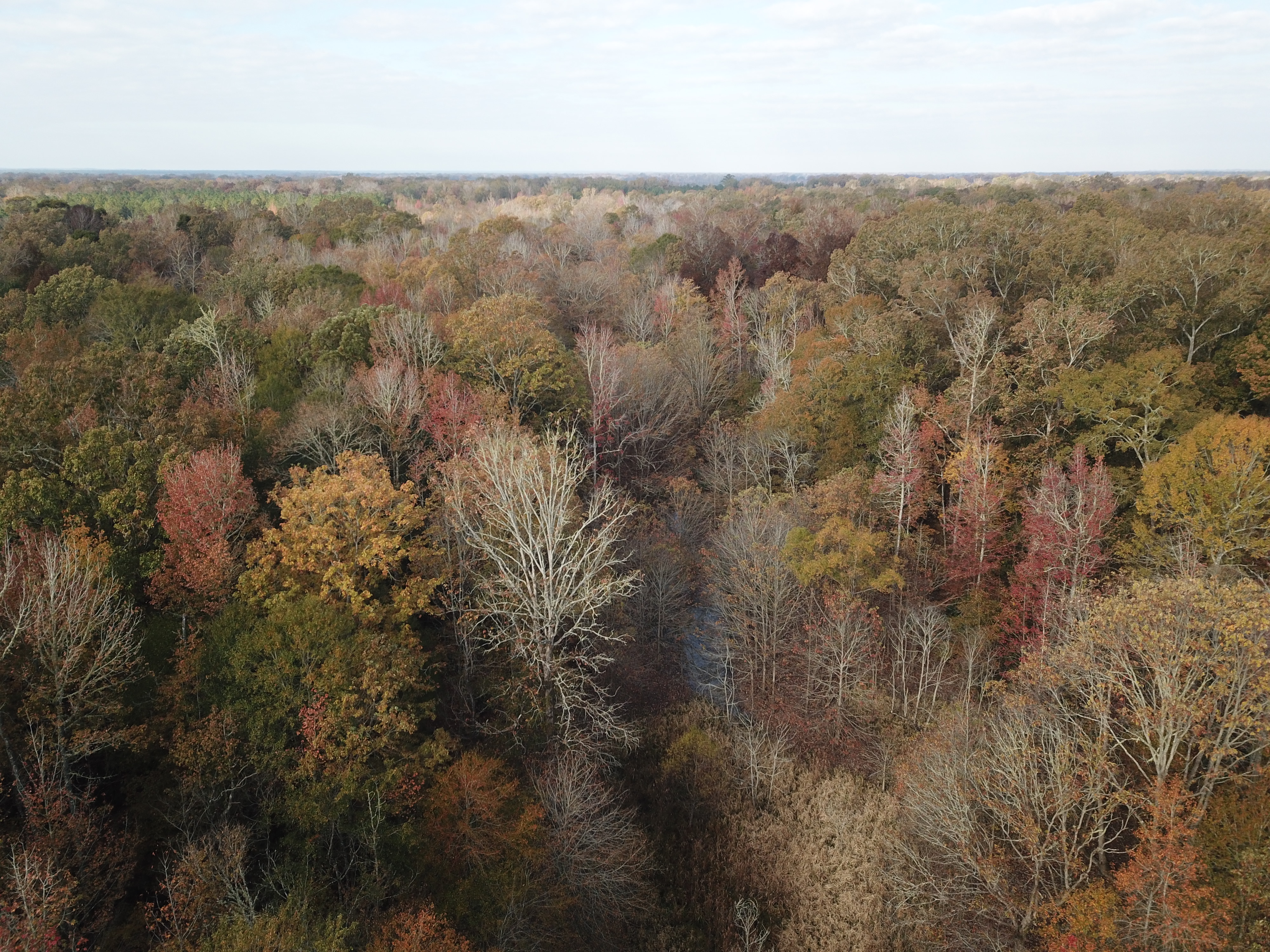 DJI_0038.JPG
