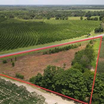 1.7 +/- acres - Henry County - Newville Parcel