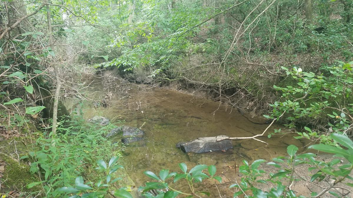 20180821_165352.jpg
